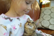 Richmond SPCA