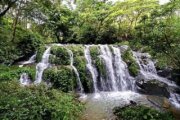 太興飛瀑步道