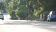 大佛賞鷹自行車道