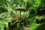 福山古道 (整修中)