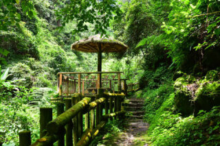 福山古道 (整修中)