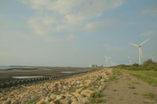 觀新藻礁生態系野生動物保護區