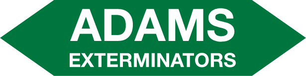 Adams Exterminators