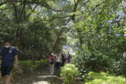 五酒桶山步道