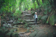 金包里大路(魚路古道)