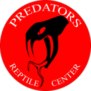 Predators Reptile Center