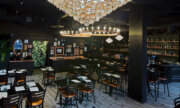 Phoenecia LLC Seattle