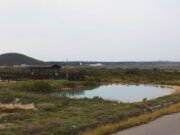 青螺濕地