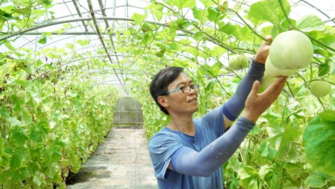 楊桃園休閒農場