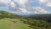 Rancho San Antonio Preserve
