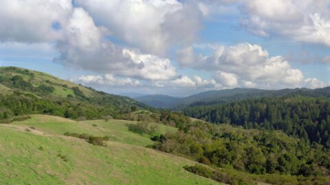 Rancho San Antonio Preserve