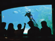 澎湖水族館