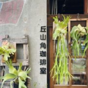 丘山角珈琲室