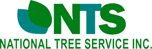National Tree Service