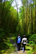木馬棧道