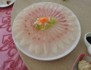 鱘龍魚之家(公田鱘龍魚)