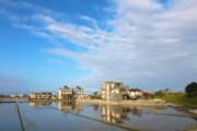 岸１９６Ａｓｈｏｒｅ