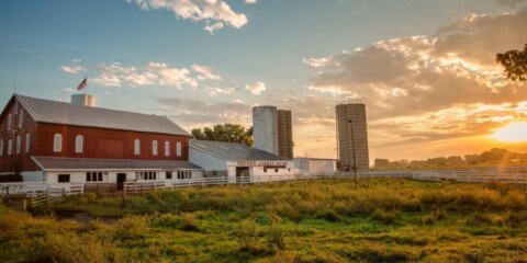 Young&#039;s Jersey Dairy