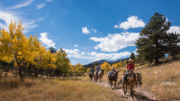 Estes Park Visitors Center