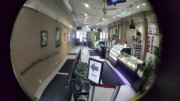 World of Weed Premier Cannabis Retailer