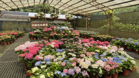台七桃花源休閒農業區