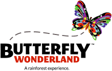 Butterfly Wonderland