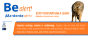 Dallas Animal Services