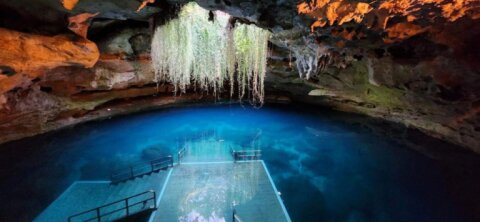 Devil&#039;s Den Prehistoric Spring