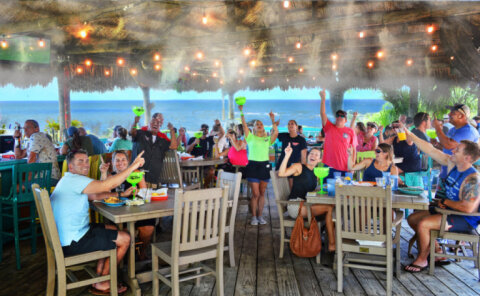 Tortuga Jacks Jekyll
