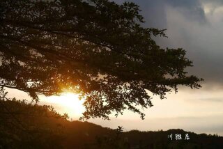 川雅居民宿  觀泰山夕照