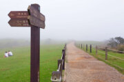 Qing Tian Gang Grassland