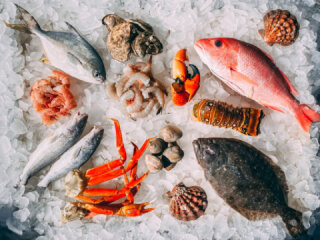 Giovanni&#039;s Fish Market And Galley
