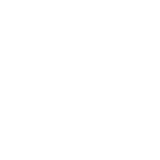 Artisanal Burger Company