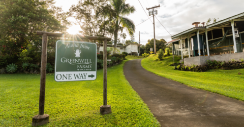 Greenwell Farms