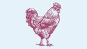 PCC Community Markets - Bothell