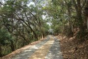 長青自行車道普通線