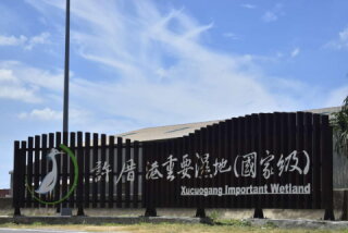 許厝港溼地