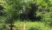 竹堡遺址