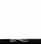 Siena&#039;s Pizzeria