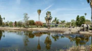 The La Brea Tar Pits and Museum