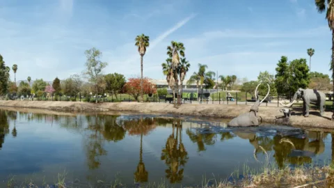 The La Brea Tar Pits and Museum