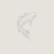 KOI Piercing Studio