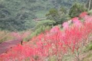 青山農場民宿