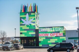 Cannabis &amp; Glass