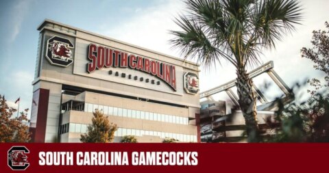 Williams-Brice Stadium