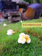 松友休閒客家庄民宿