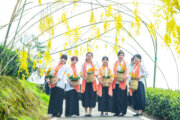 2023阿里山四季茶旅活動