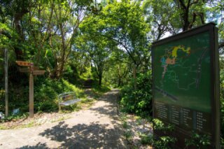 紅淡山步道
