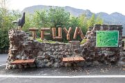 特富野步道（樟樹巨木群）