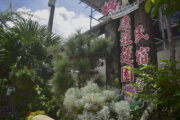 康莊蓮園民宿